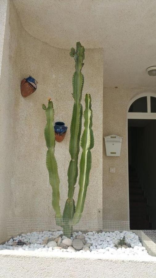 Casa El Algarrobico Villa Agua Amarga  Buitenkant foto